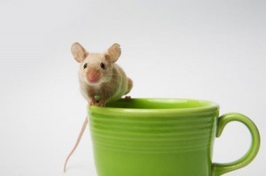 Coffee mouse