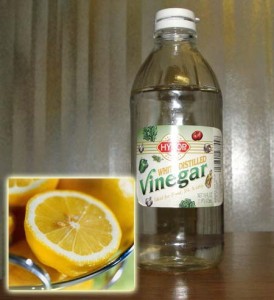 Vinegar and Lemon