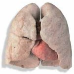 Non-smoker's Lungs